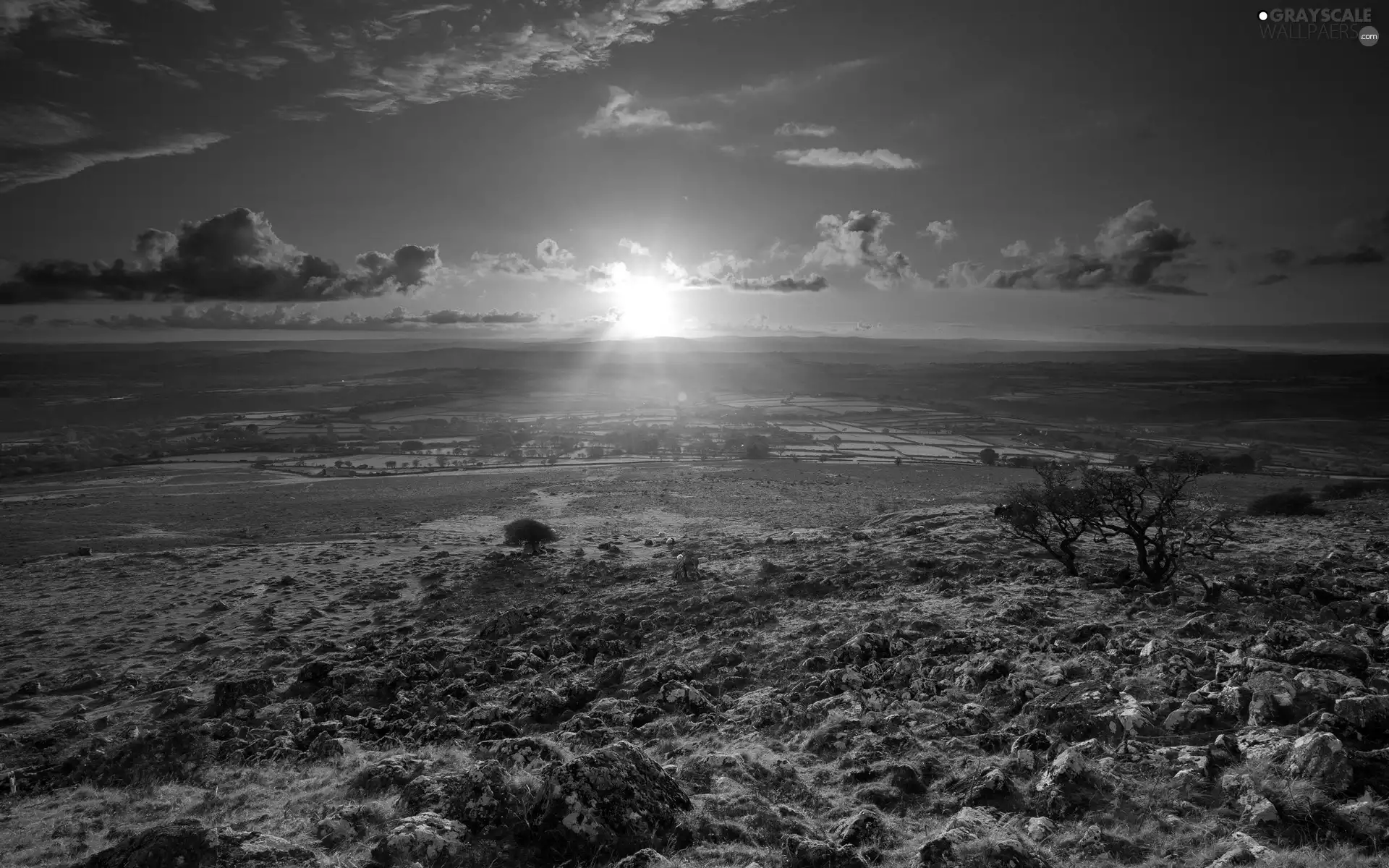 Farms, Stones, field, medows, horizon, Ireland, rays, sun, clouds