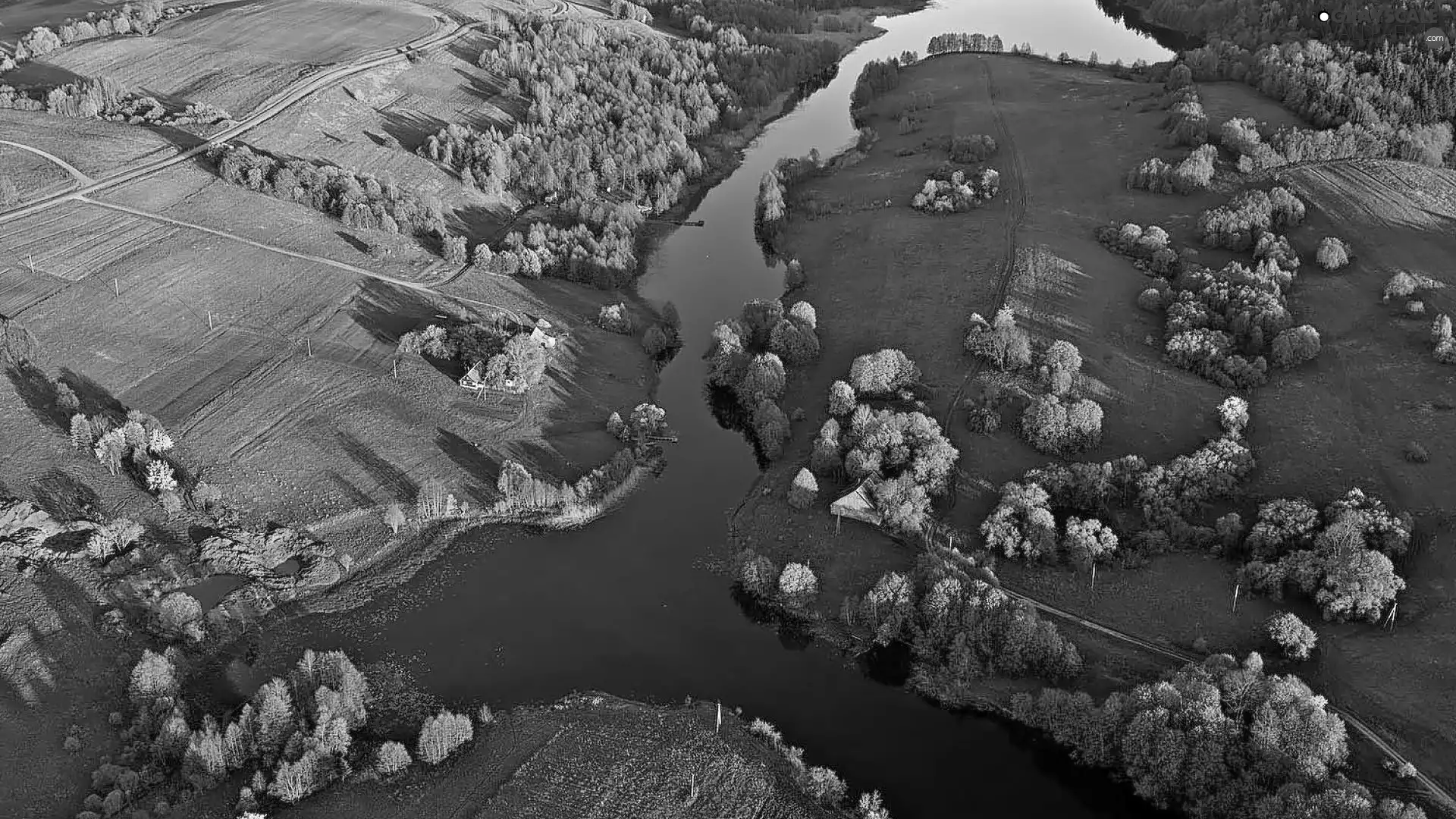 flight, View, field, River, bird, DBZ