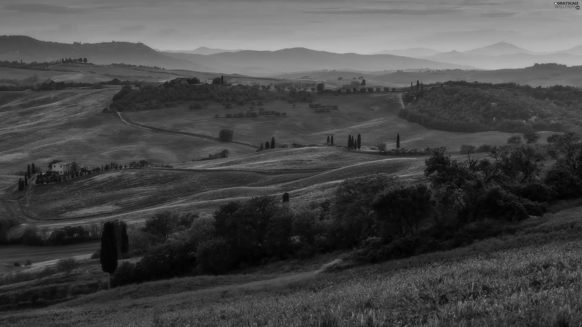 field, trees, Fog, viewes, Great Sunsets, Tuscany, Italy, cypresses