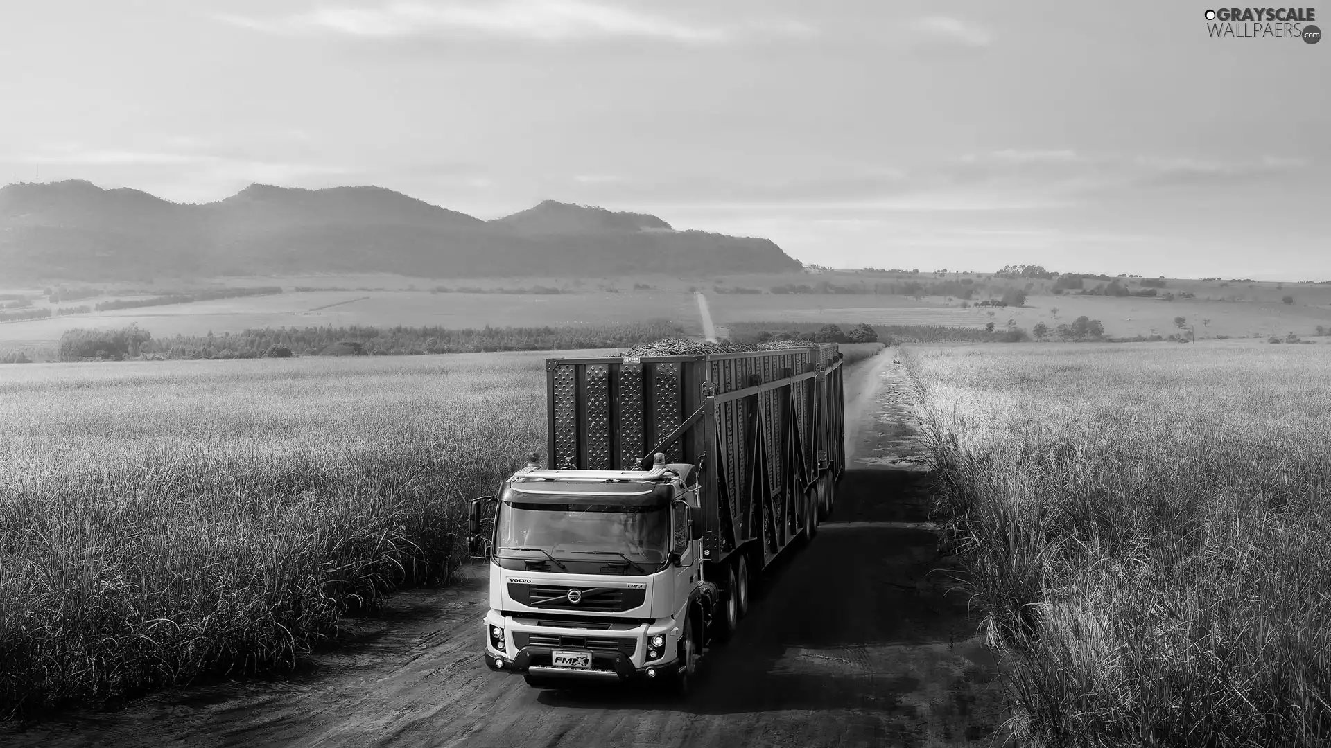 lorry, Way, Field, Volvo cars