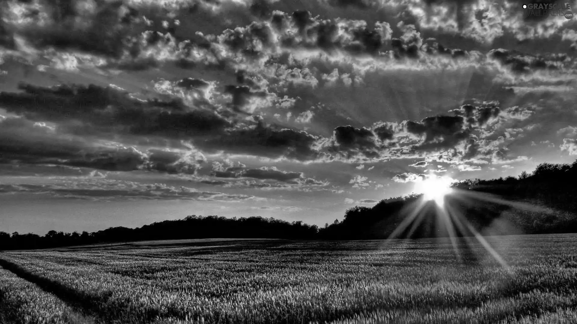 west, clouds, field, sun