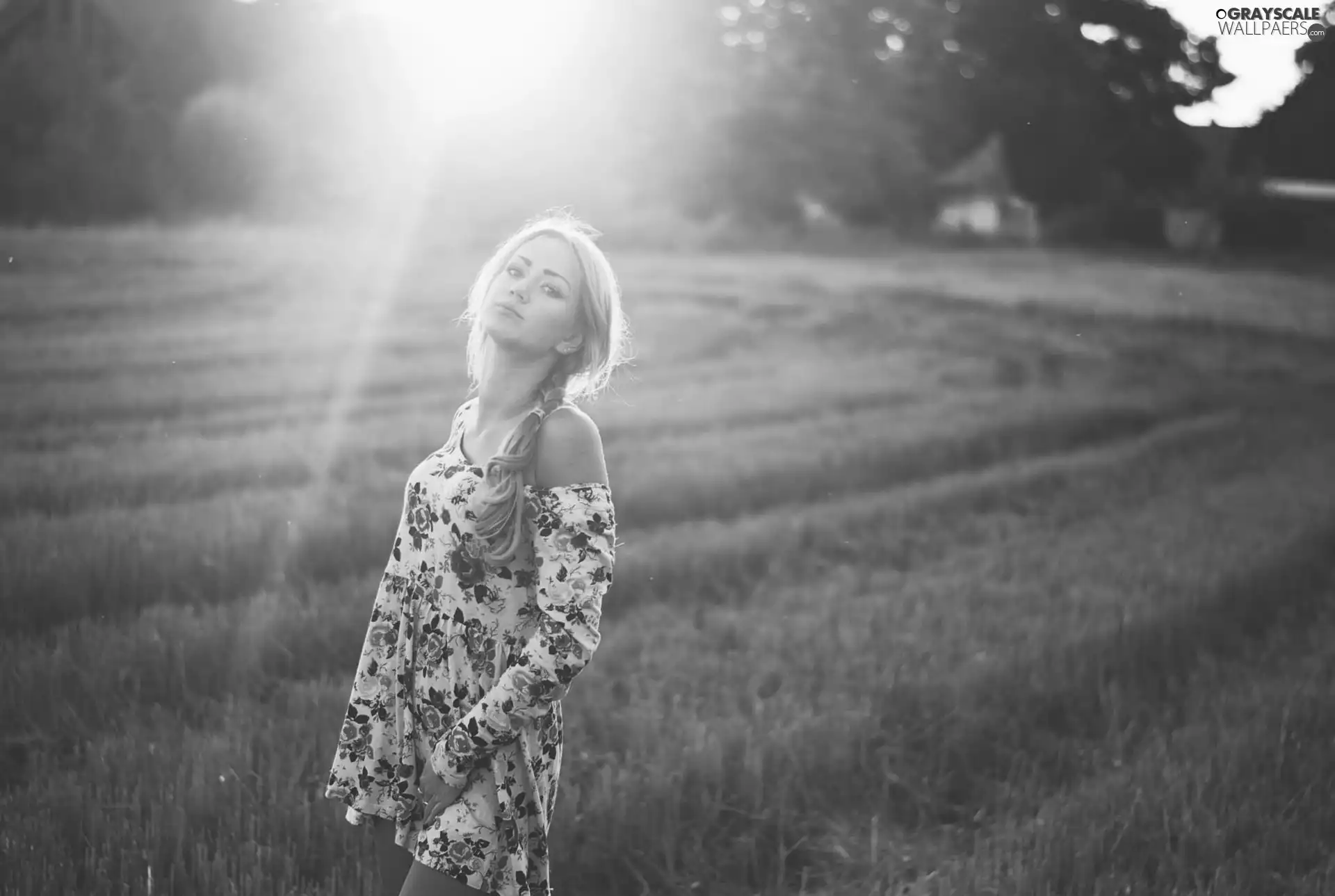 Field, Narrow-Leaf Lavender, Blonde, dress, Women