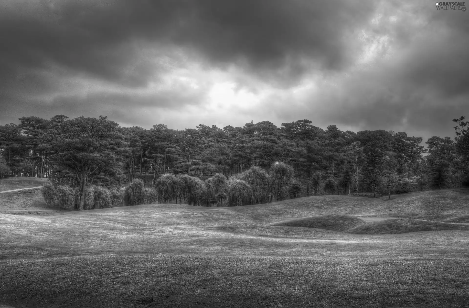 Field, clouds, woods