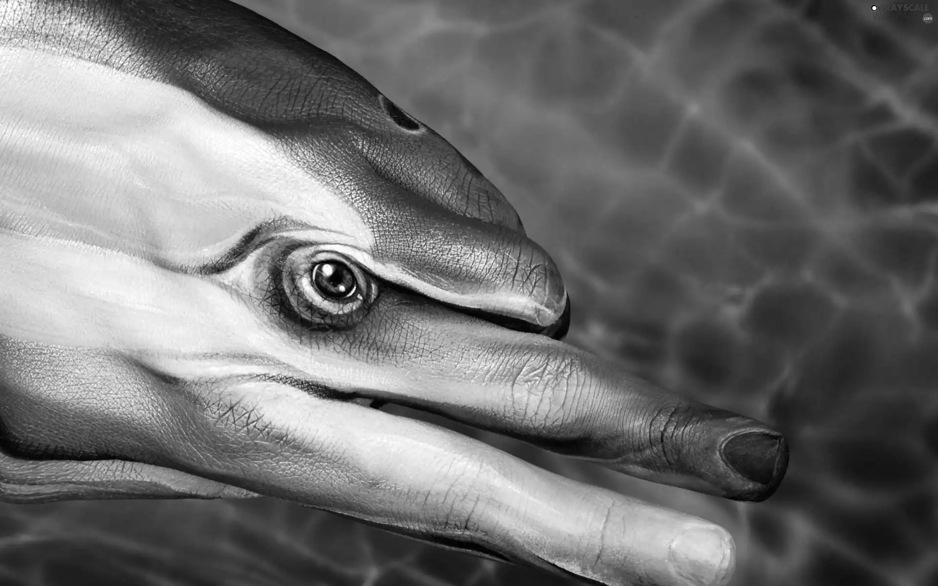 finger, Bodypainting, dolphin