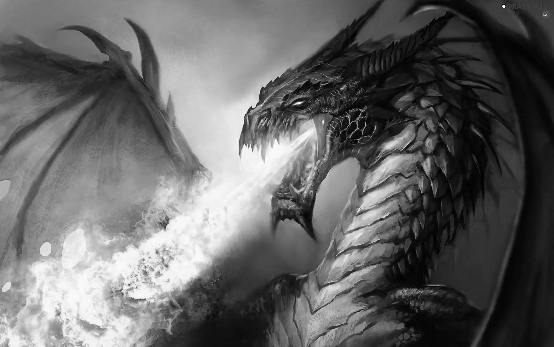 Dragon, Big Fire