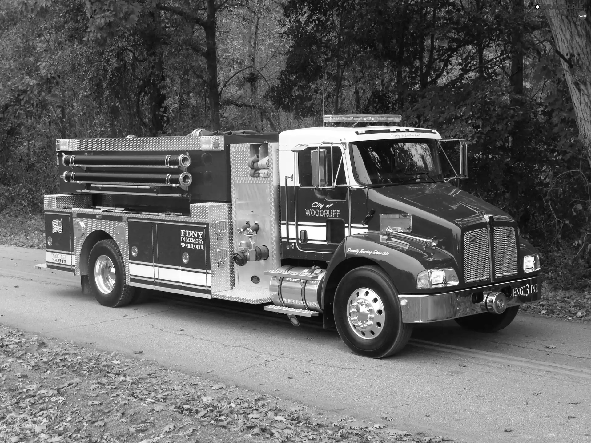 Fire, Automobile, Guard