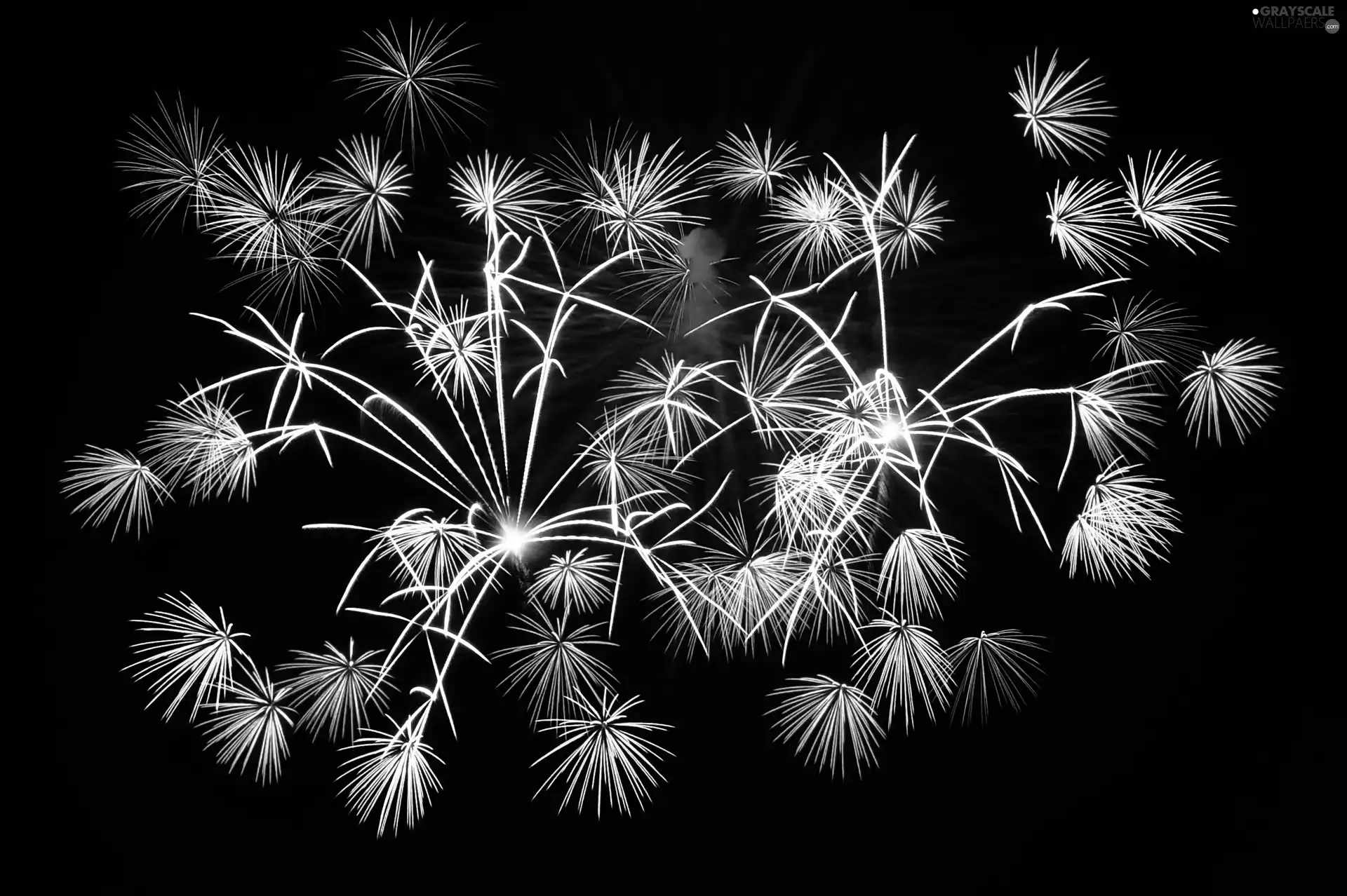 color, fireworks