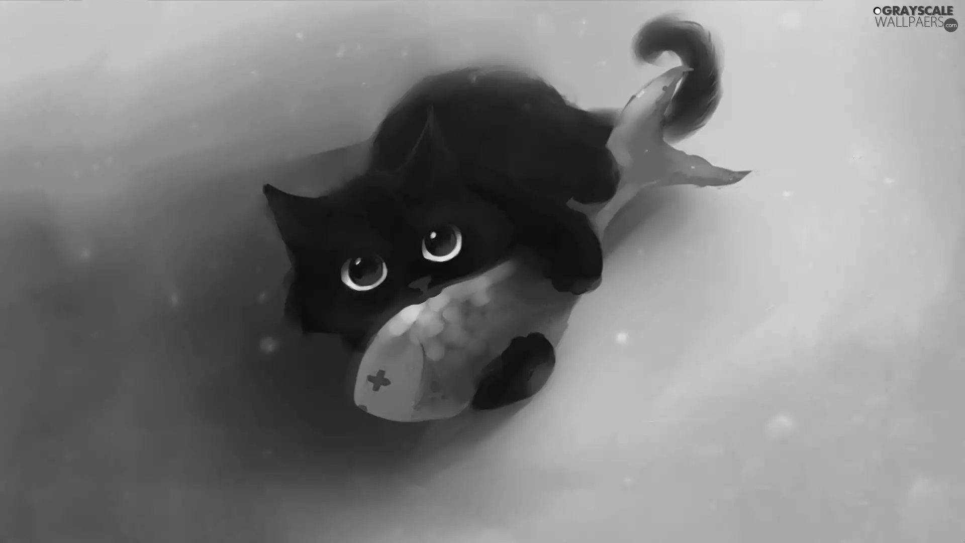 fish, Black, cat