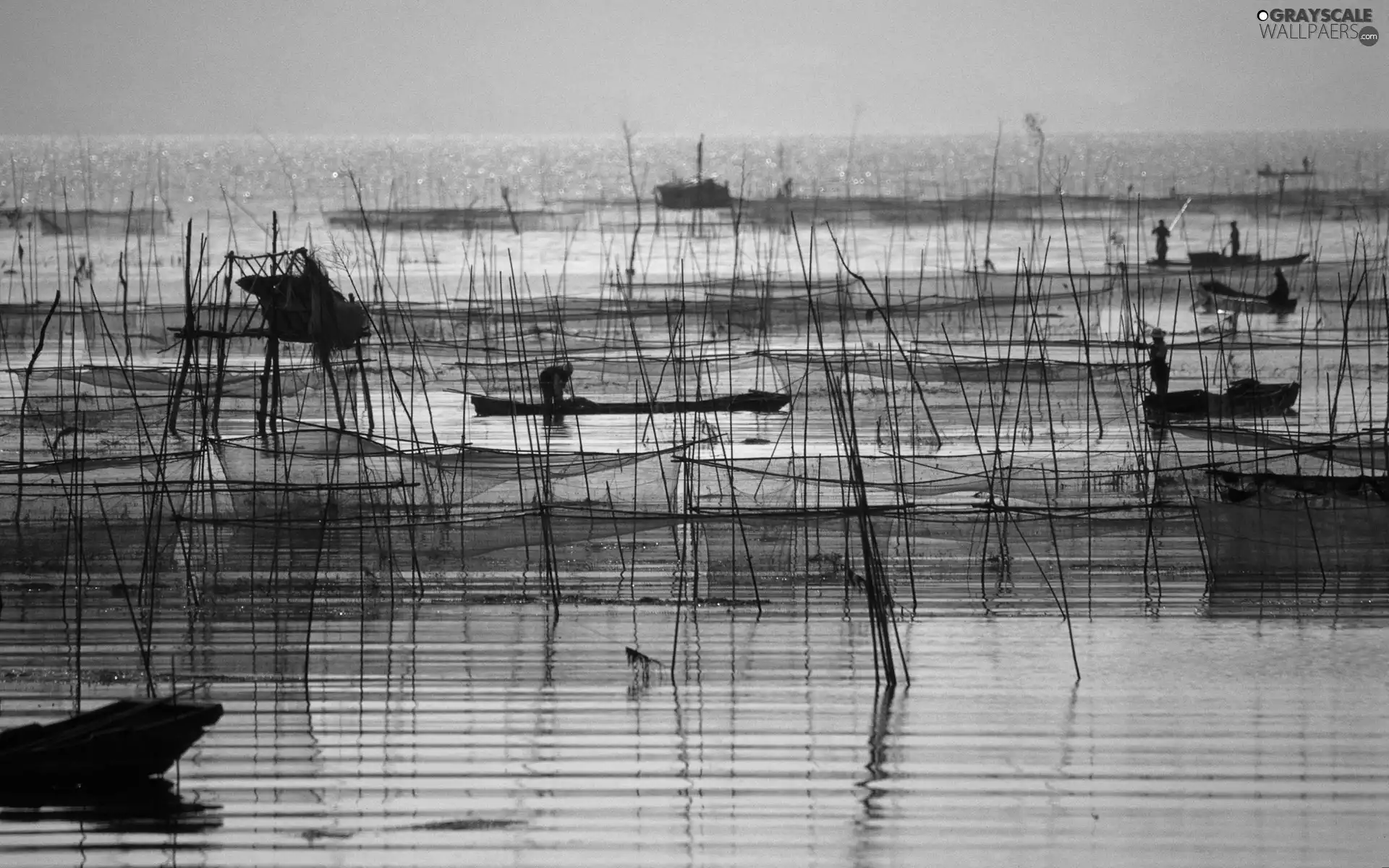 Fishermen, lake, Networks