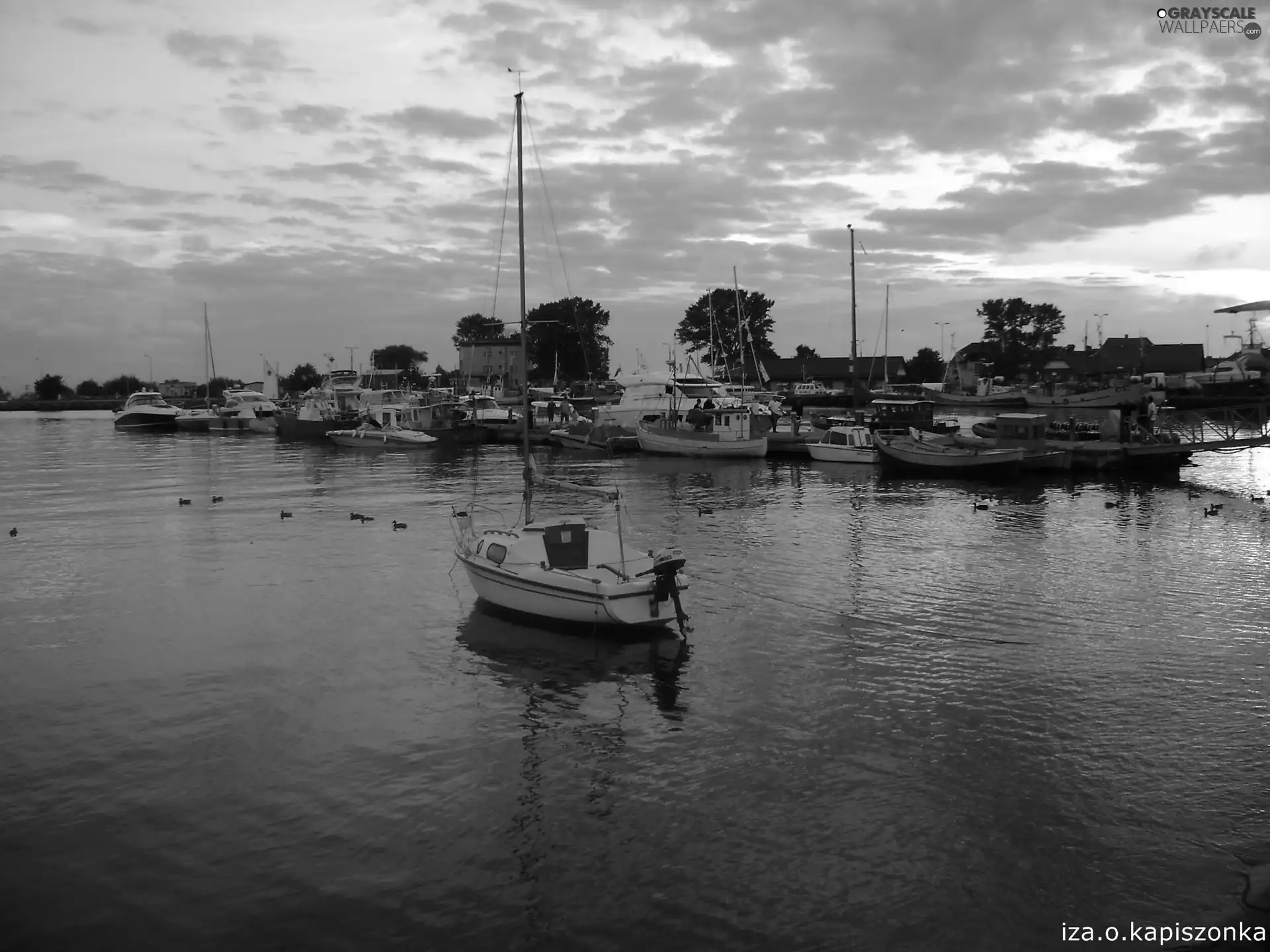 fishing, jastarnia, port