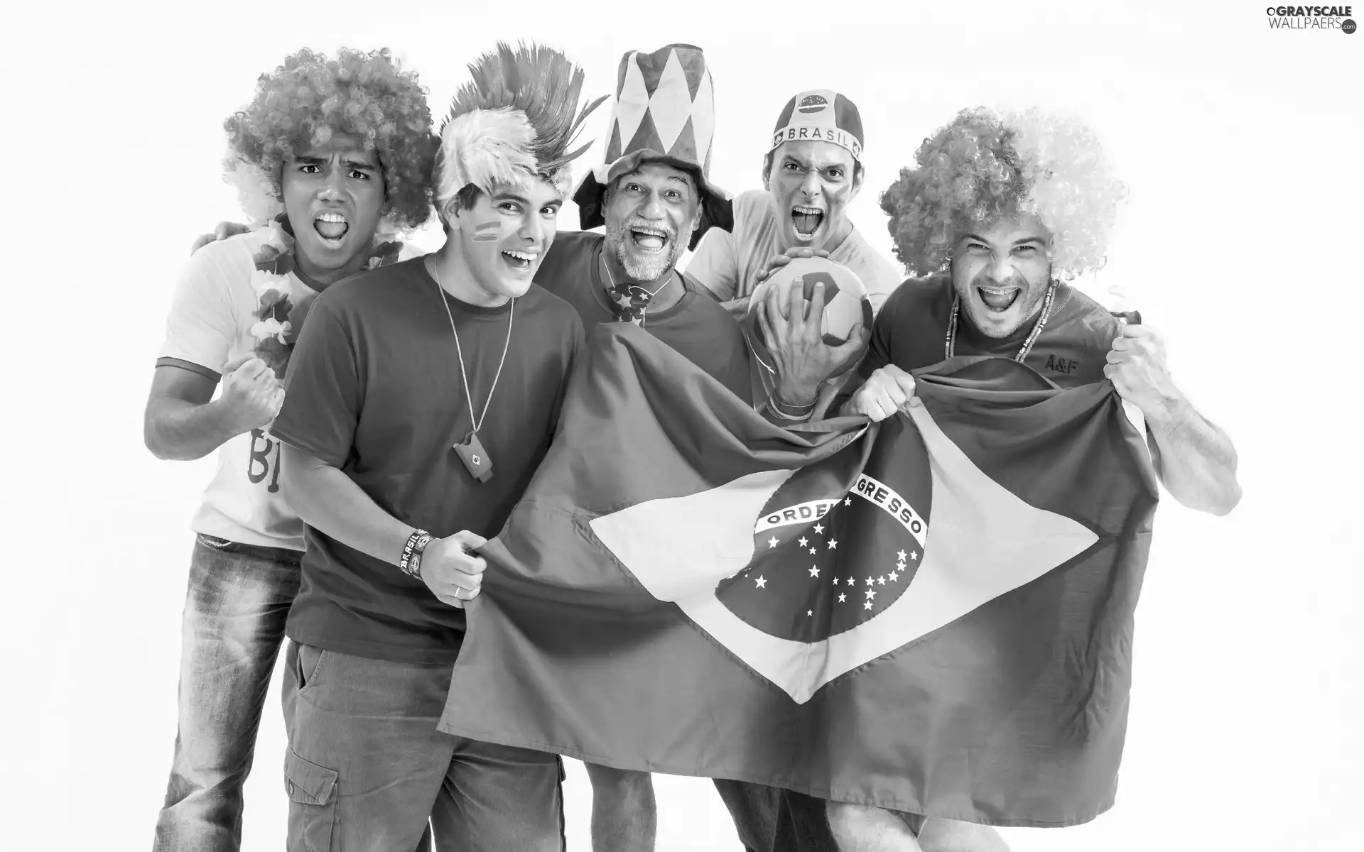 flag, Brazilian, world, 2014, Championship, the fans