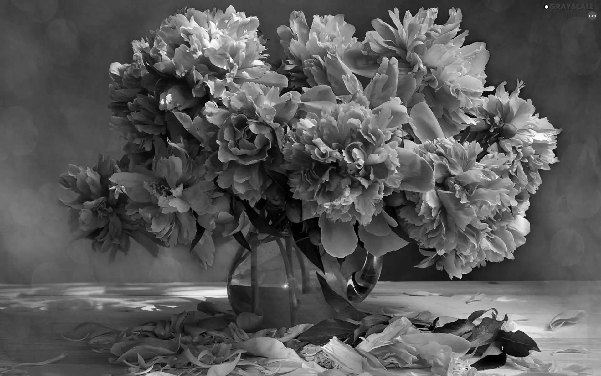 flakes, bowl, bouquet, Peonies, Flowers