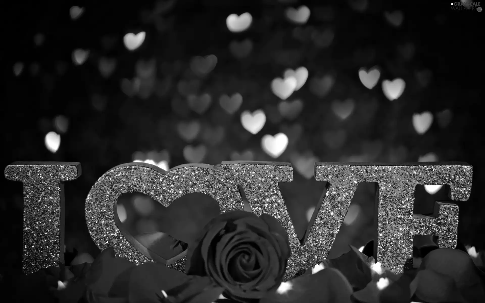 text, hearts, flakes, roses