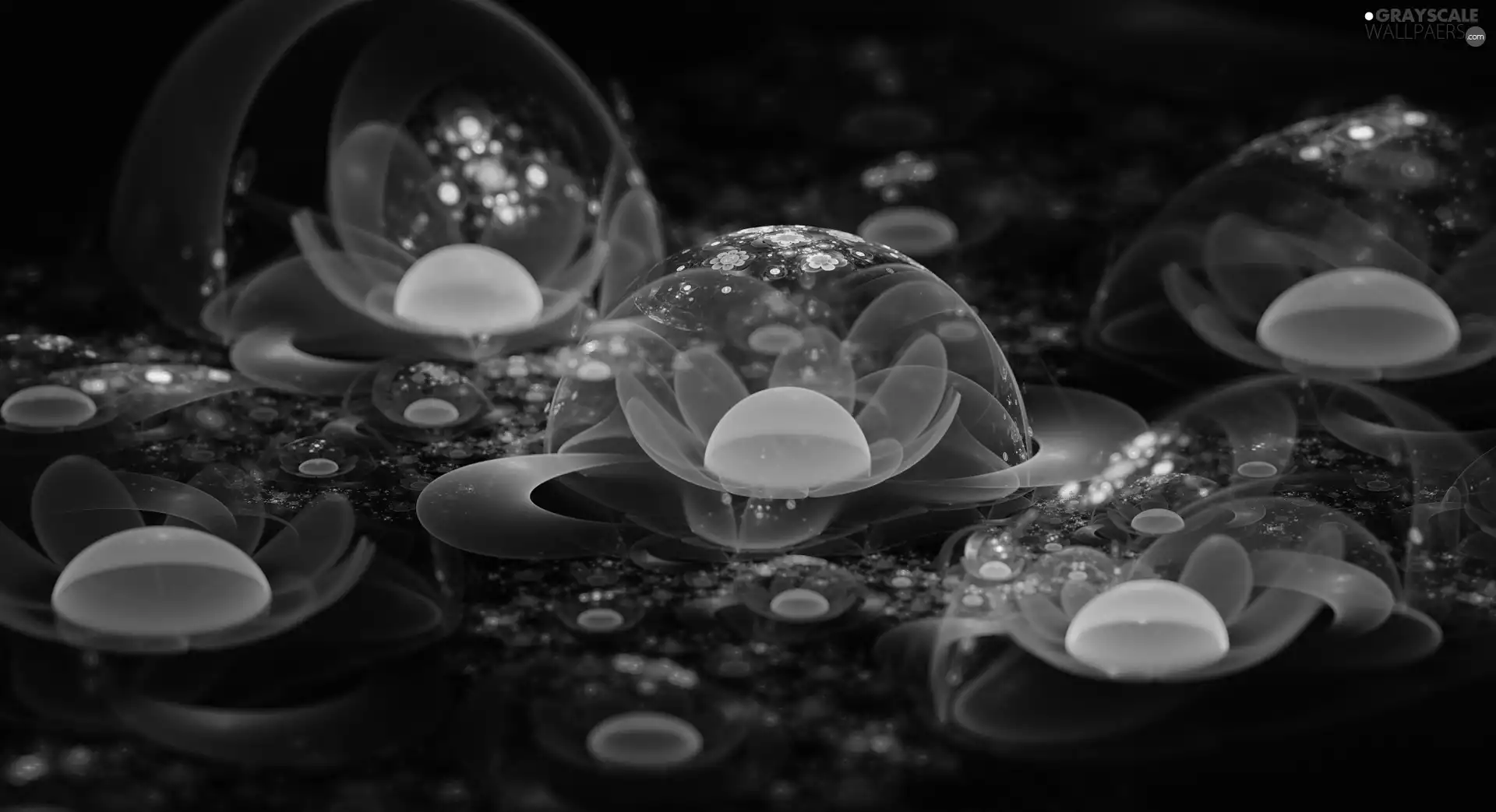 flakes, Flowers, wheel