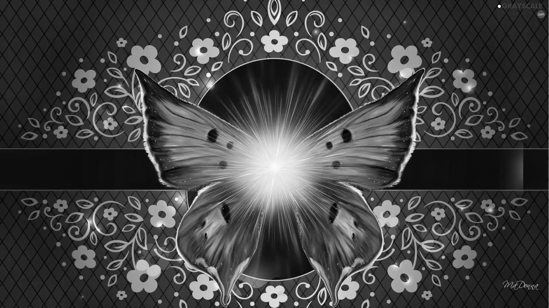 sun, butterfly, luminosity, ligh, Flowers, flash, graphics