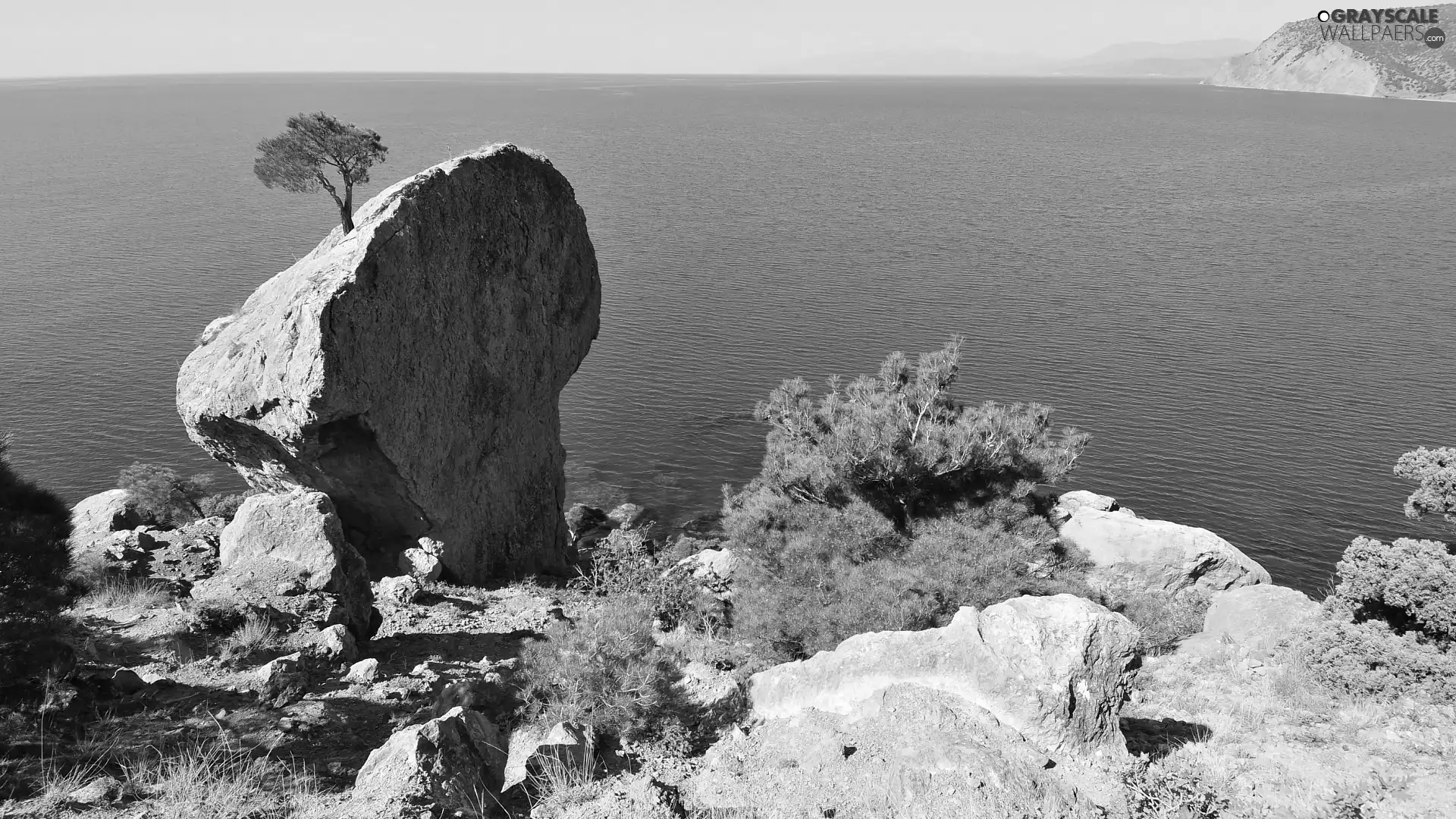 Flauta, sea, rocks