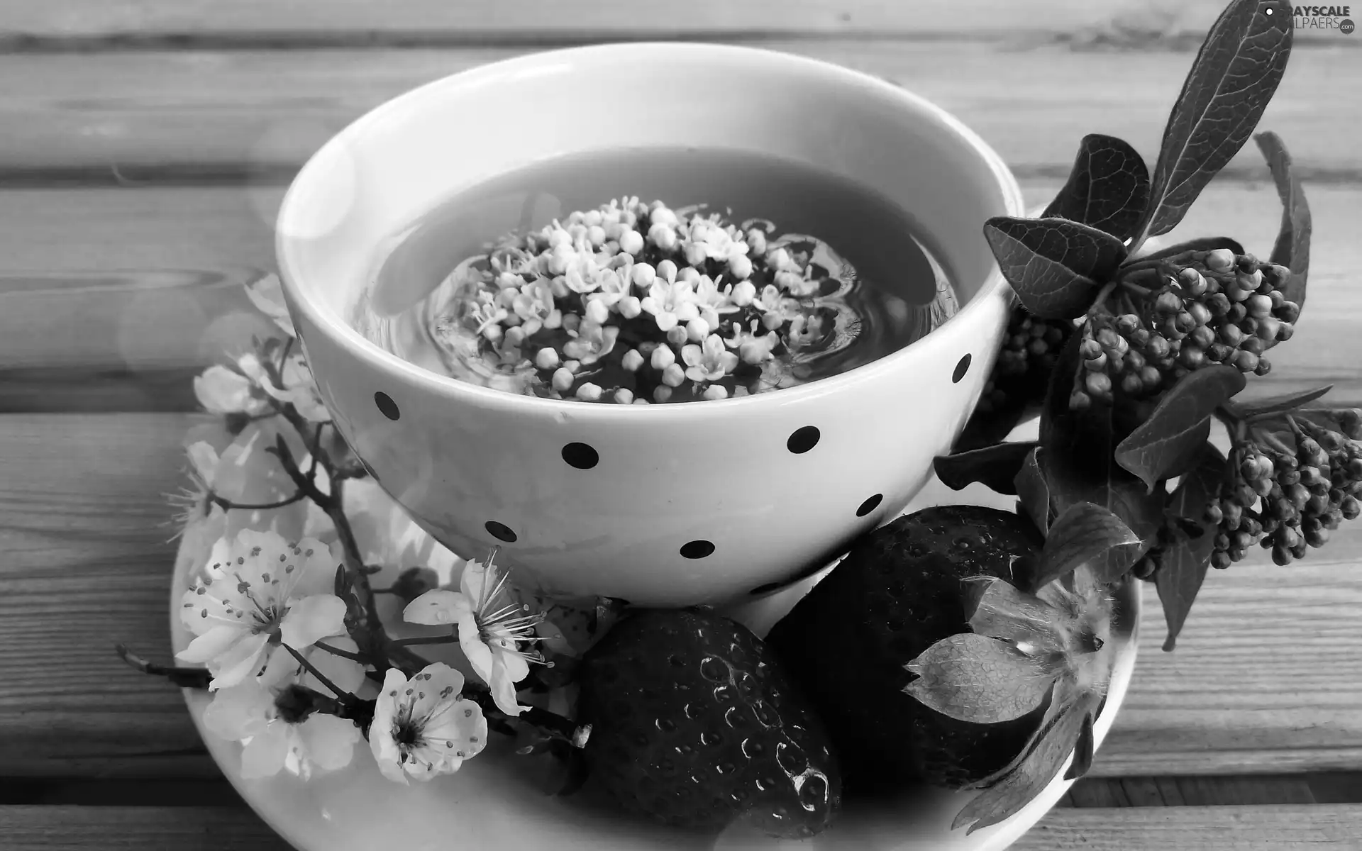flourishing, Twigs, cup, tea, strawberries