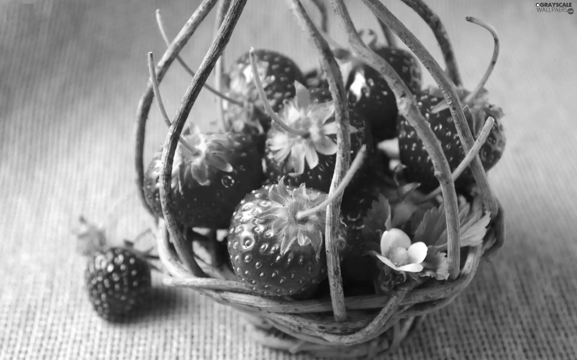 flower, strawberries, basket