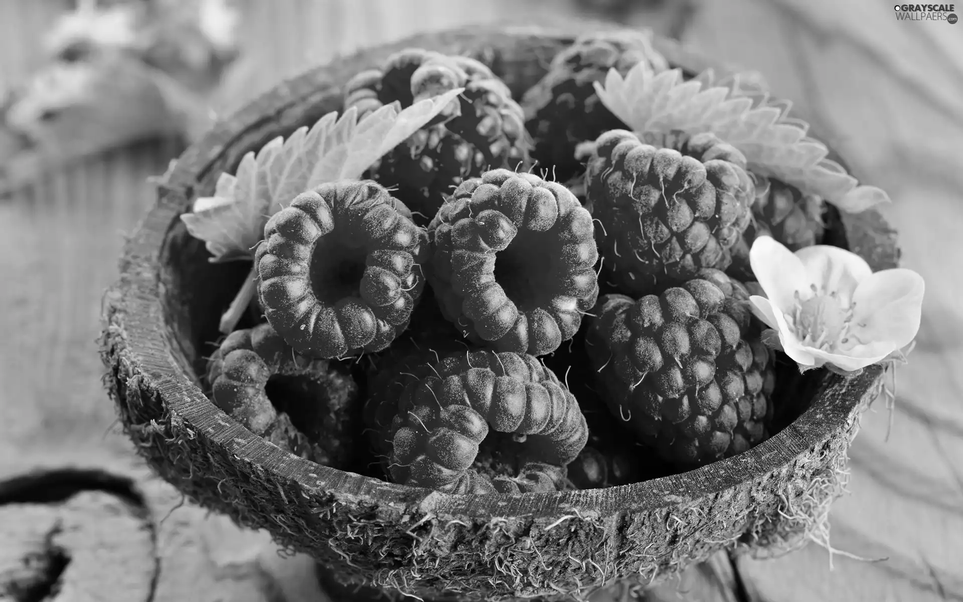 flower, raspberries, bowl