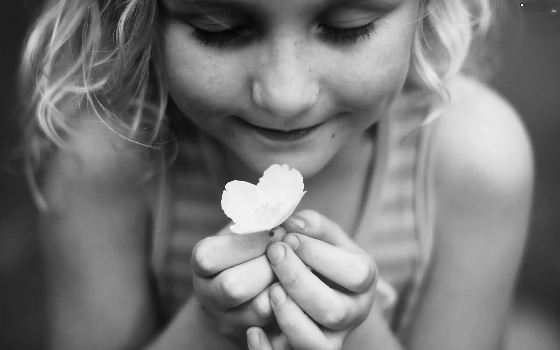 girl, White, Flower, Blonde