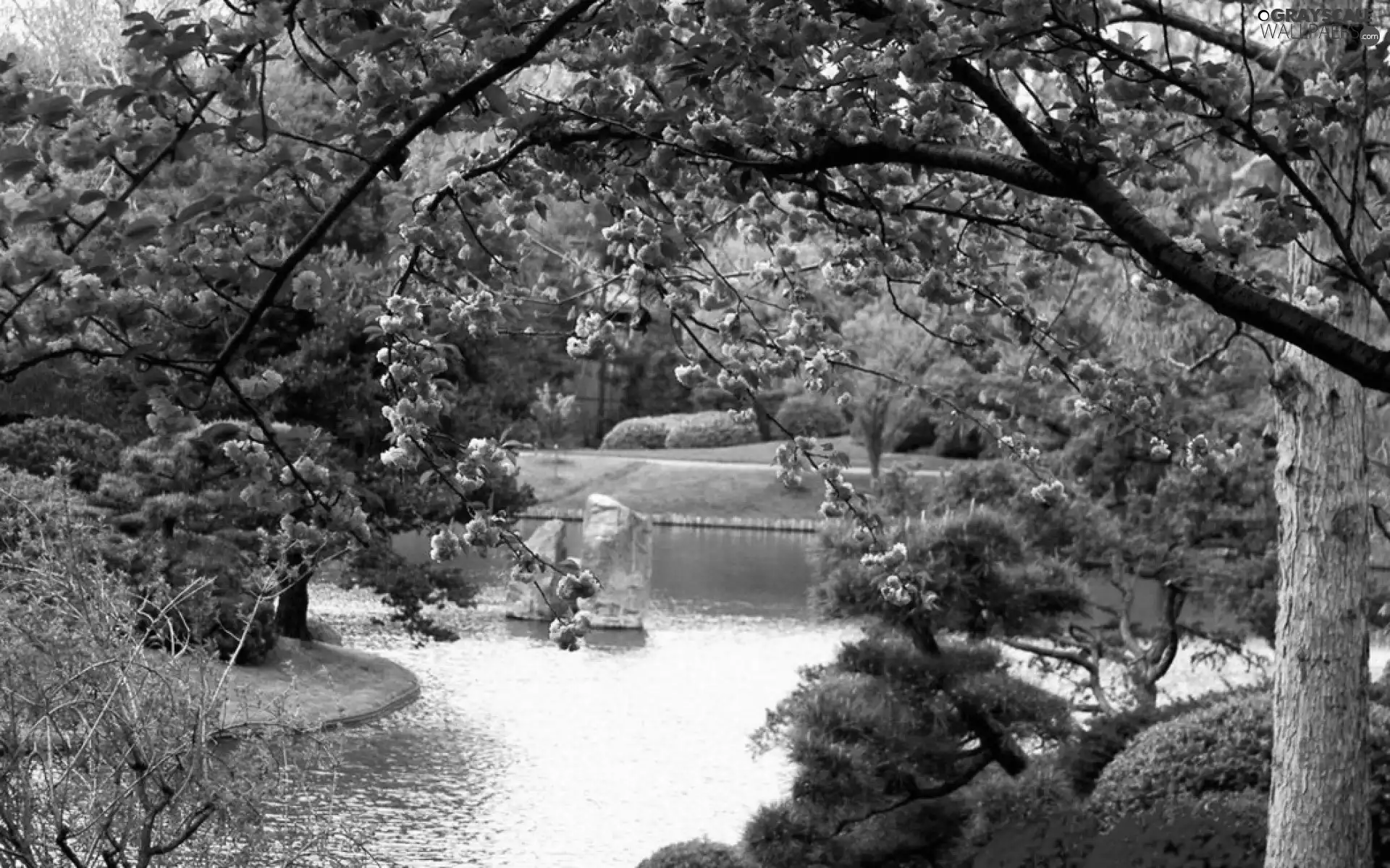 Flower-beds, flourishing, Park, Spring, River, trees