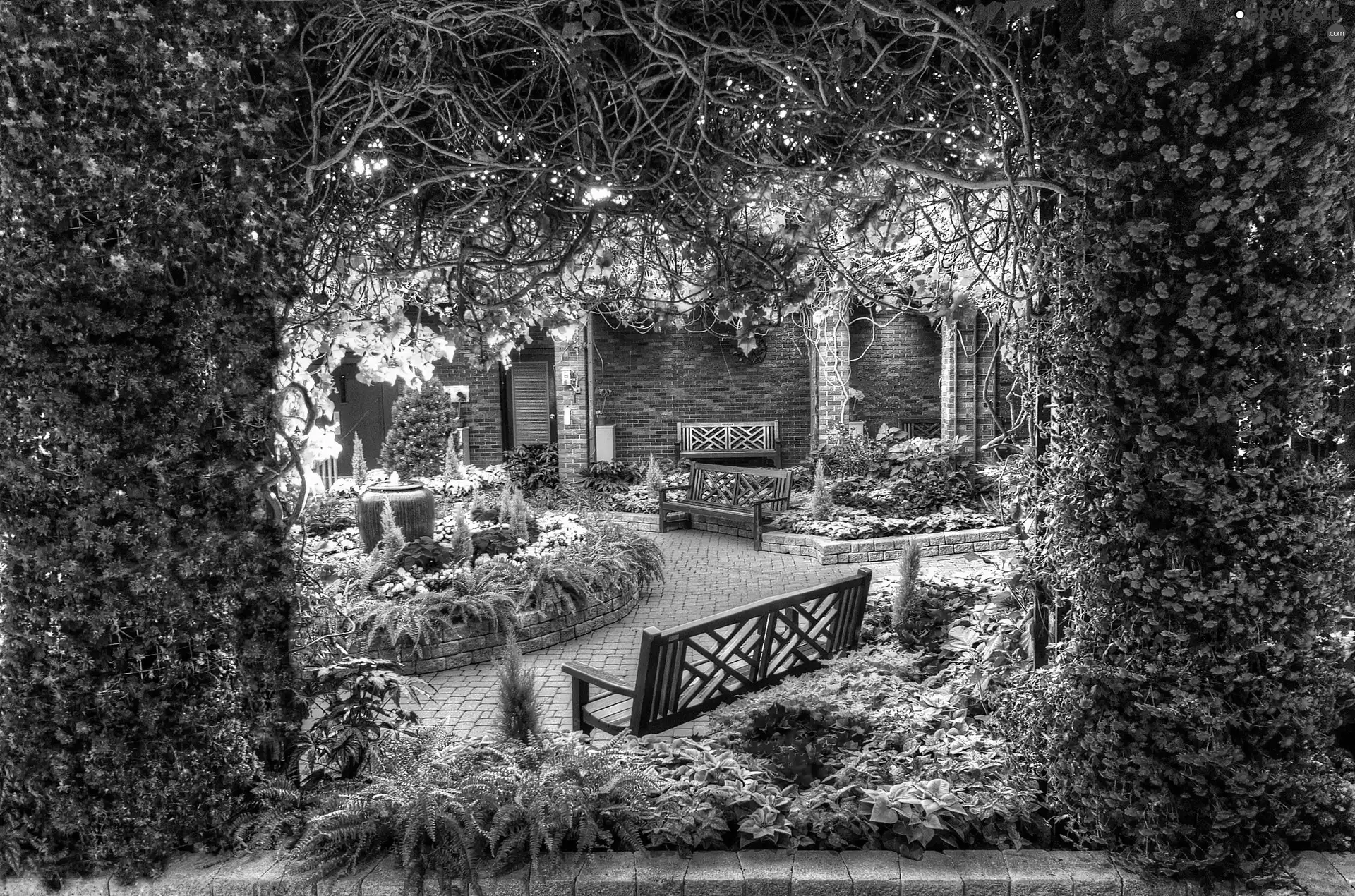 flowerbed, Flowers, patio, bench, house