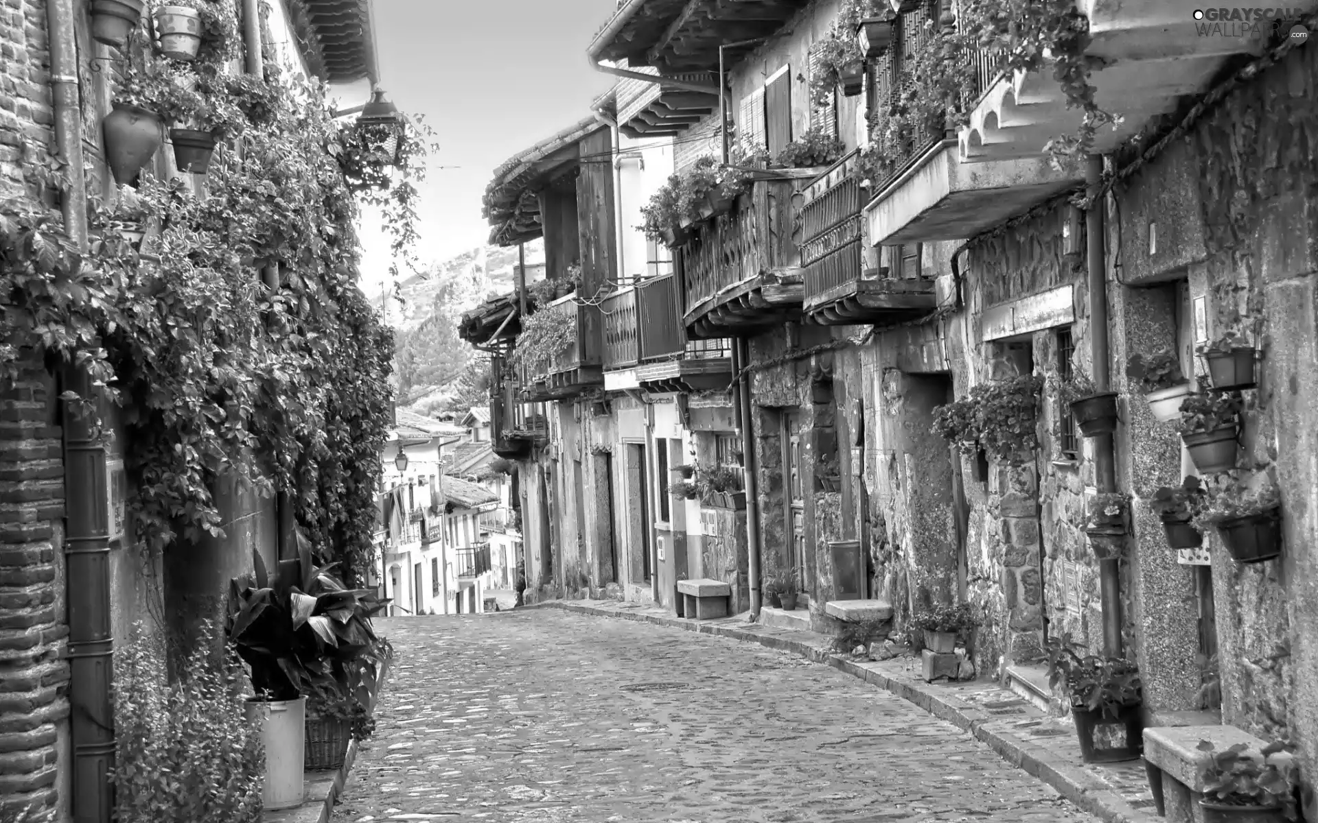 alley, Houses, Flowers, Town