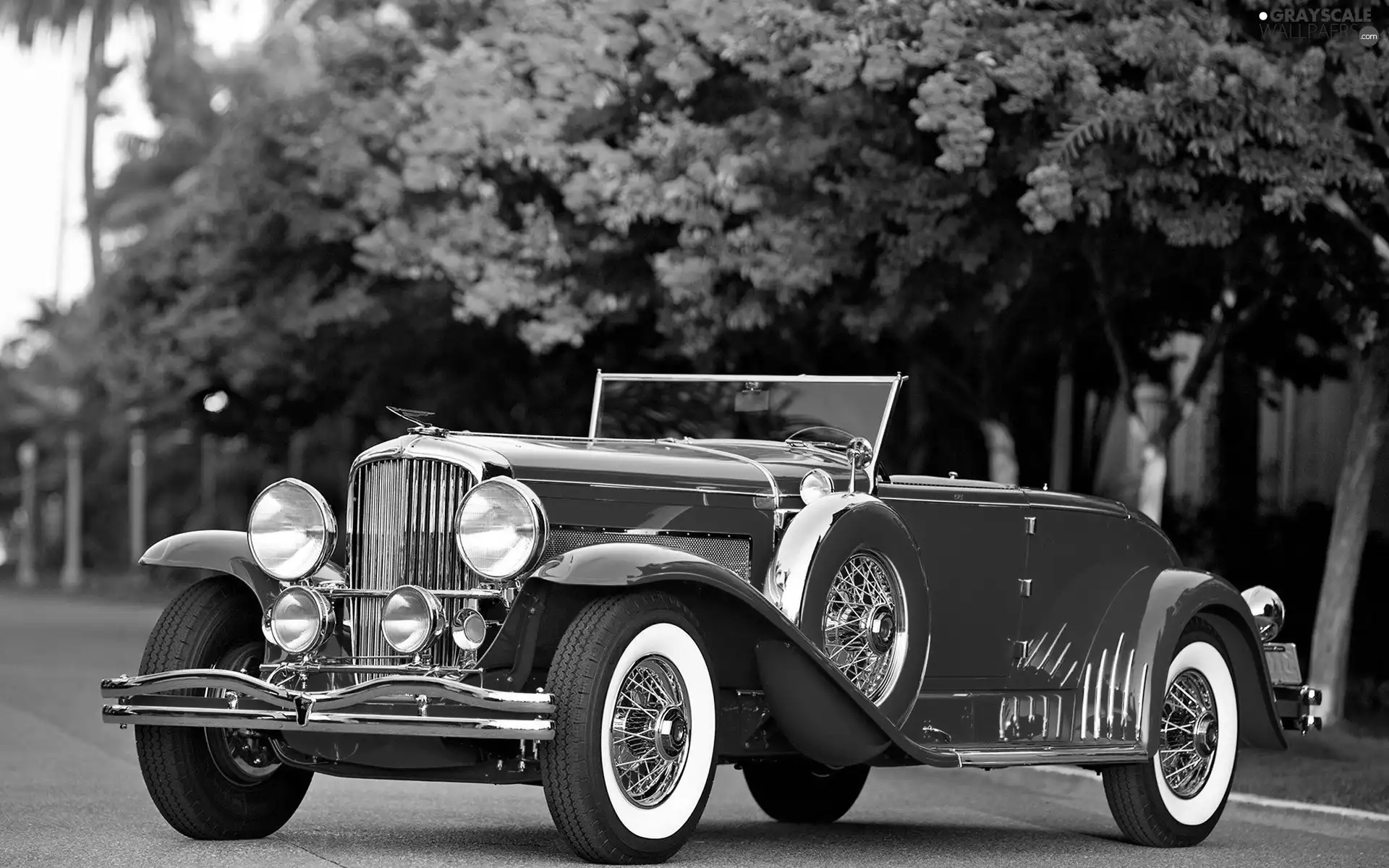 Automobile, Red, Flowers, antique