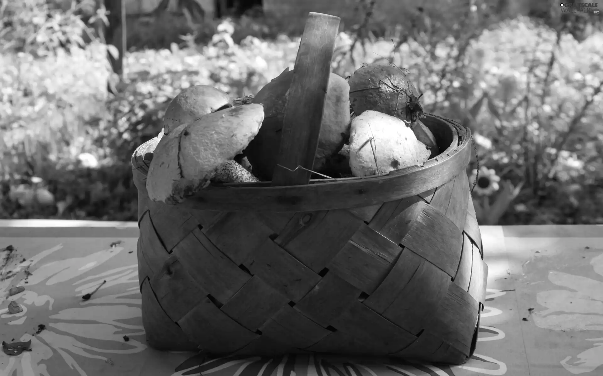 Flowers, mushrooms, basket