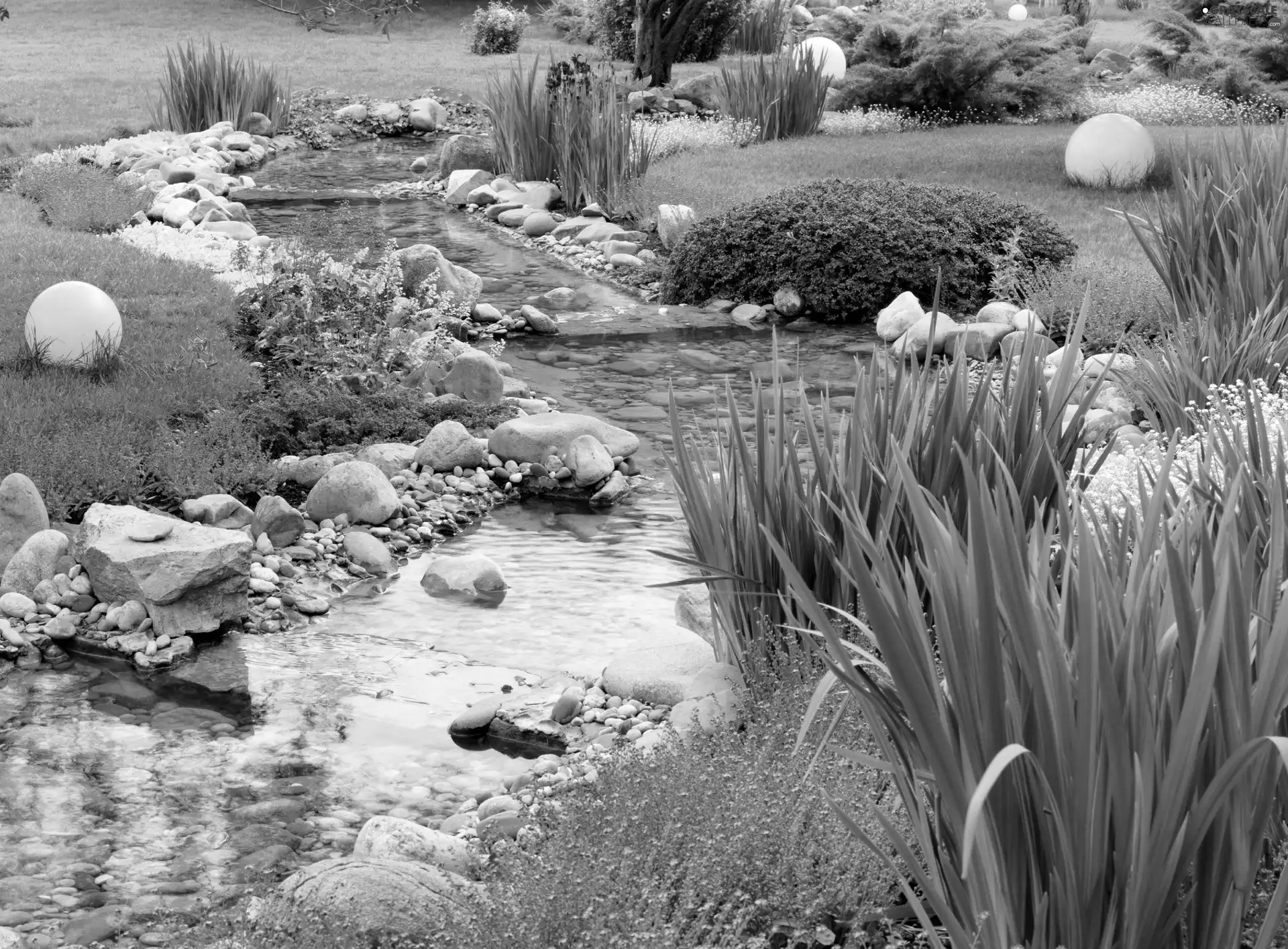 Flowers, Flower-beds, brook, Stones, Garden