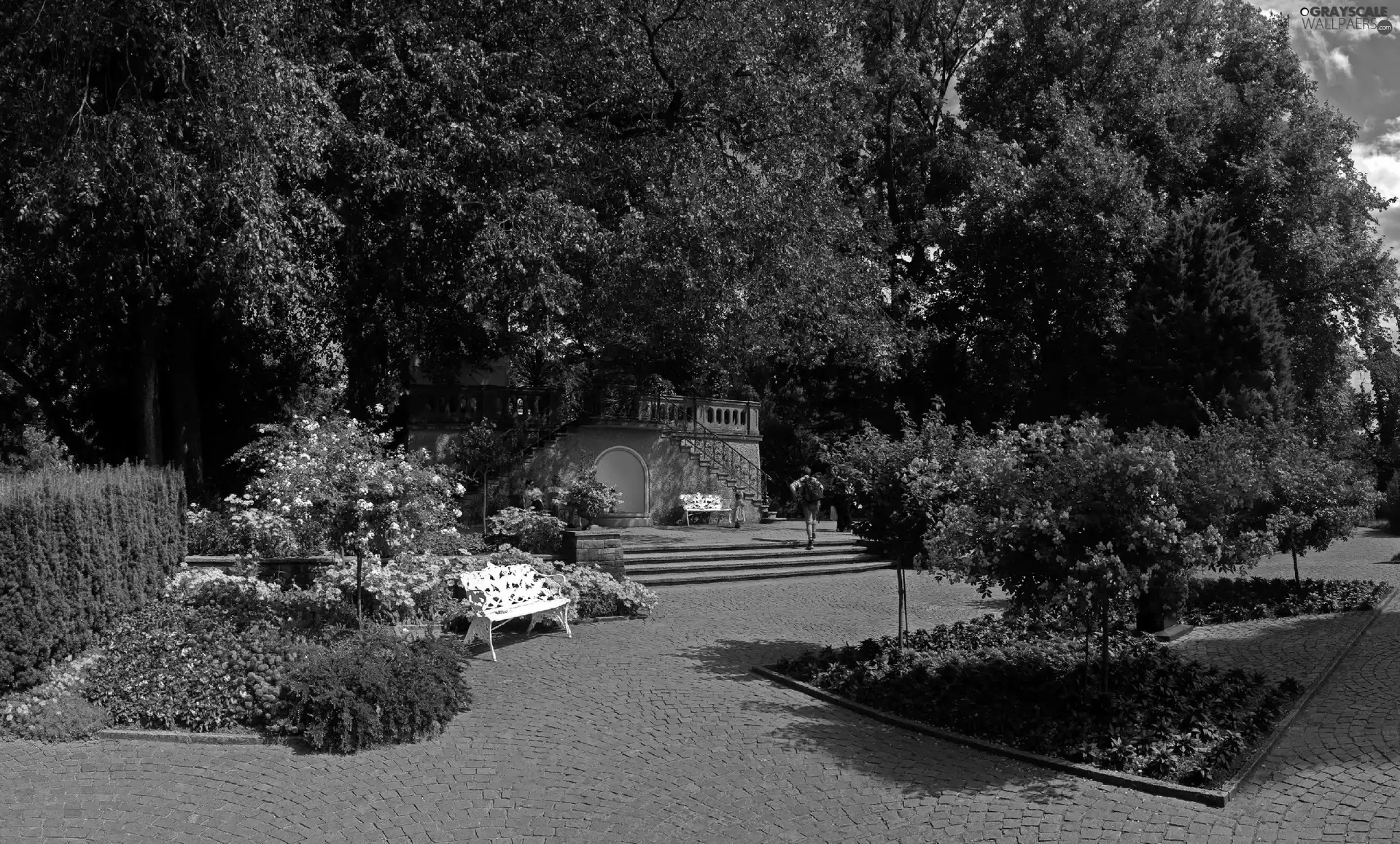 Flowers, Bench, trees, viewes, Park