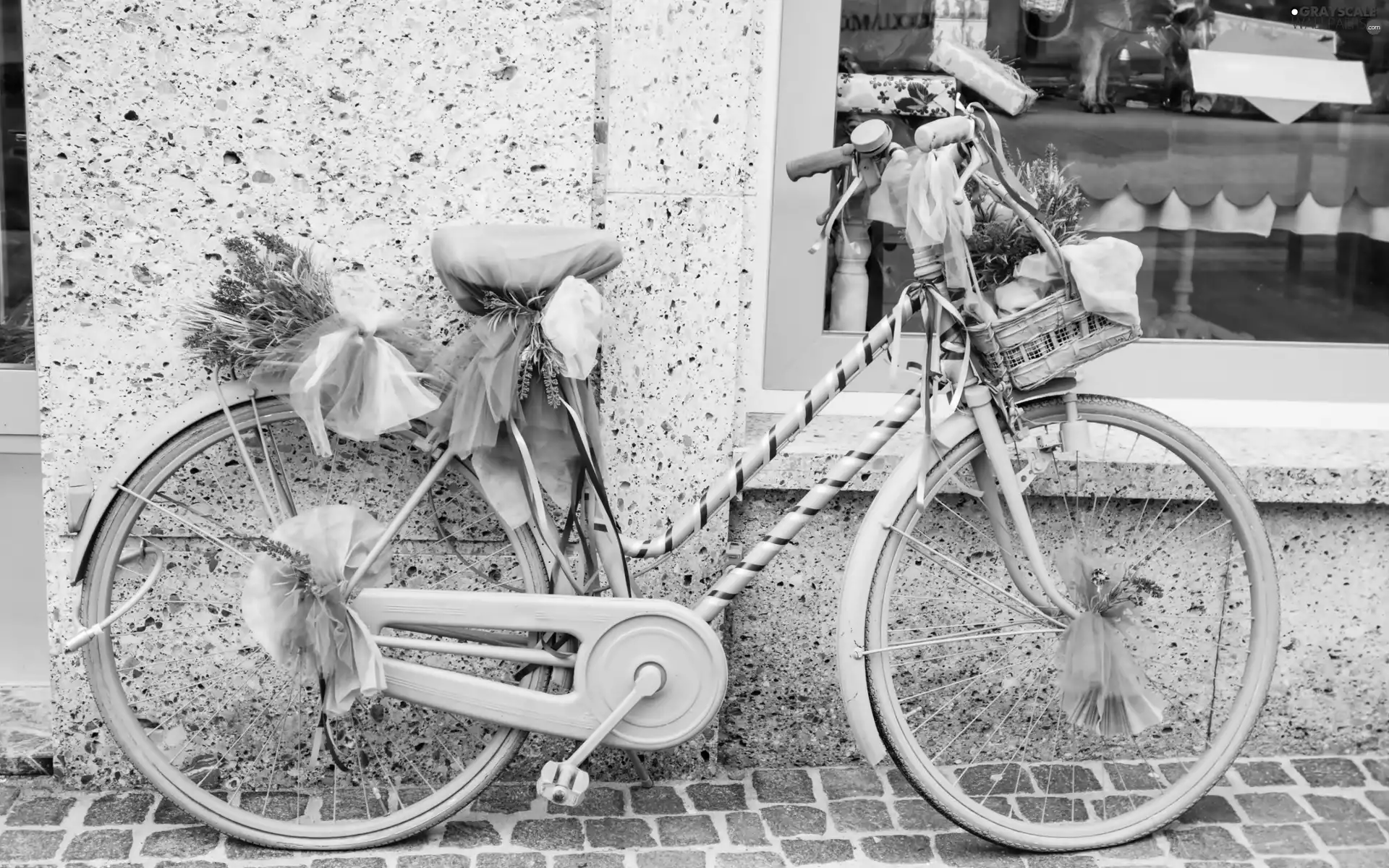 Flowers, Violet, Bike