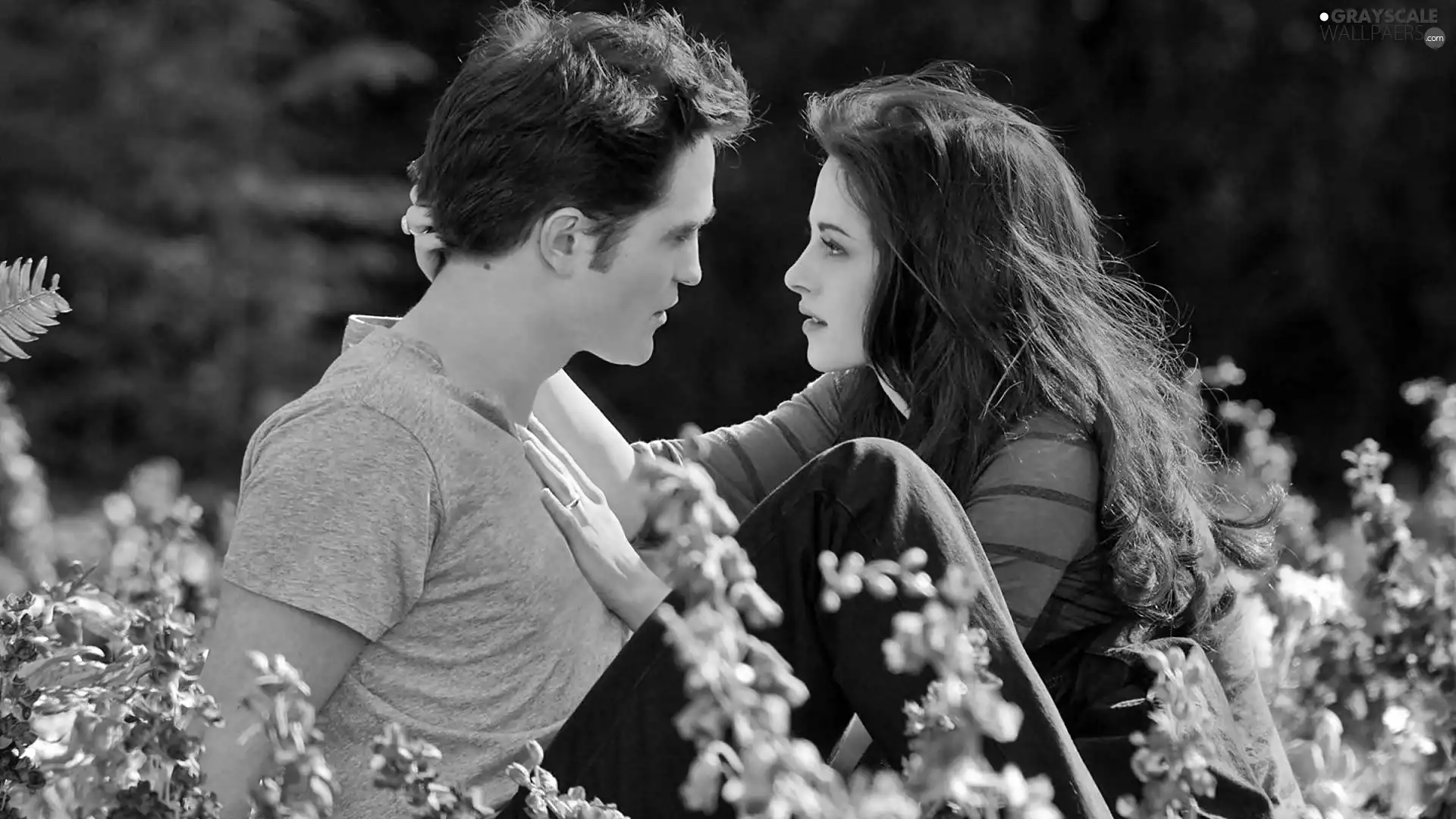 Meadow, Robert Pattinson, Kristen Stewart, Flowers