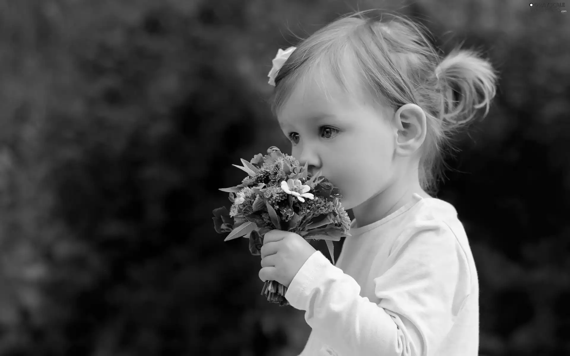 flowers, girl, bouquet