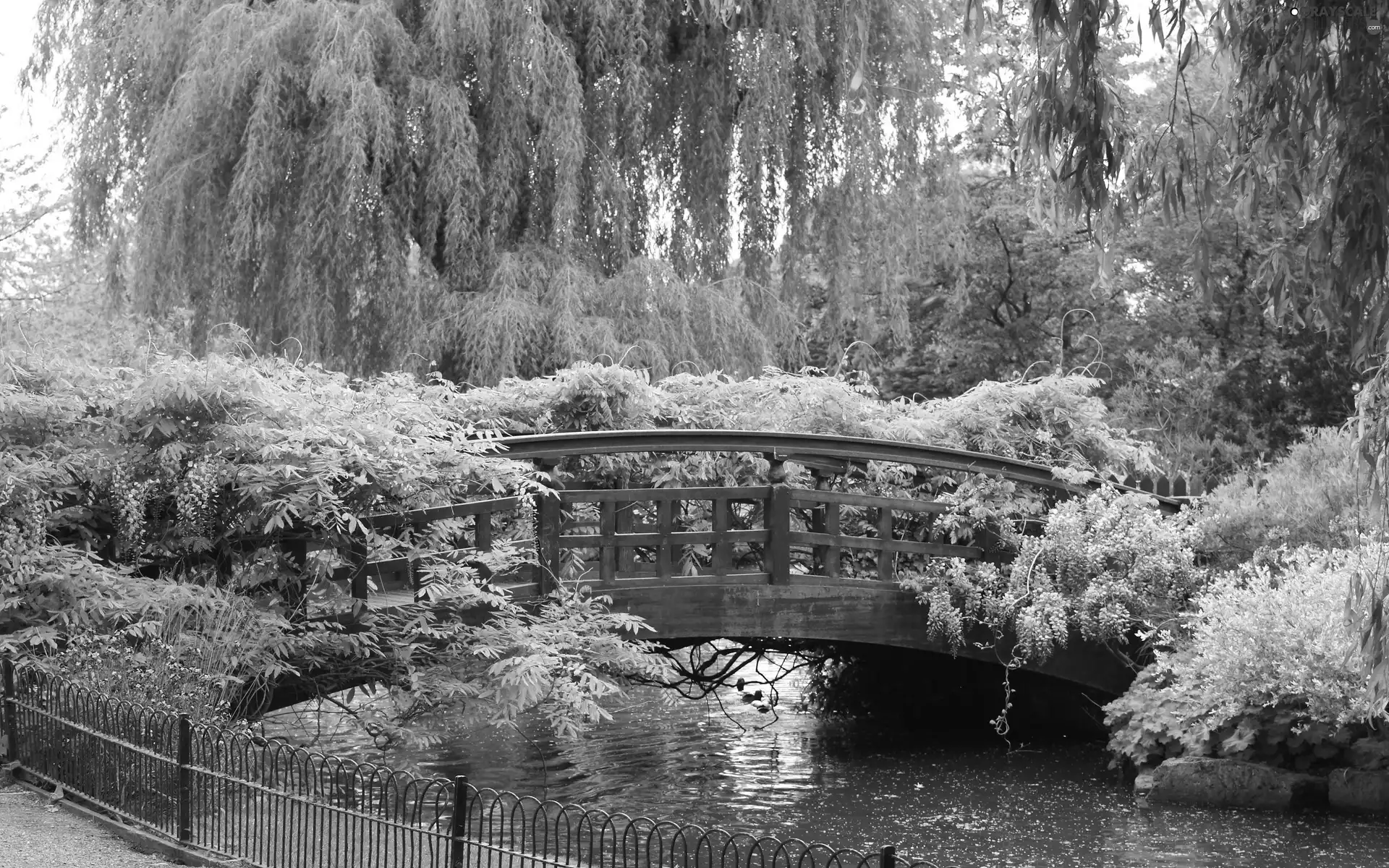 Flowers, brook, bridges