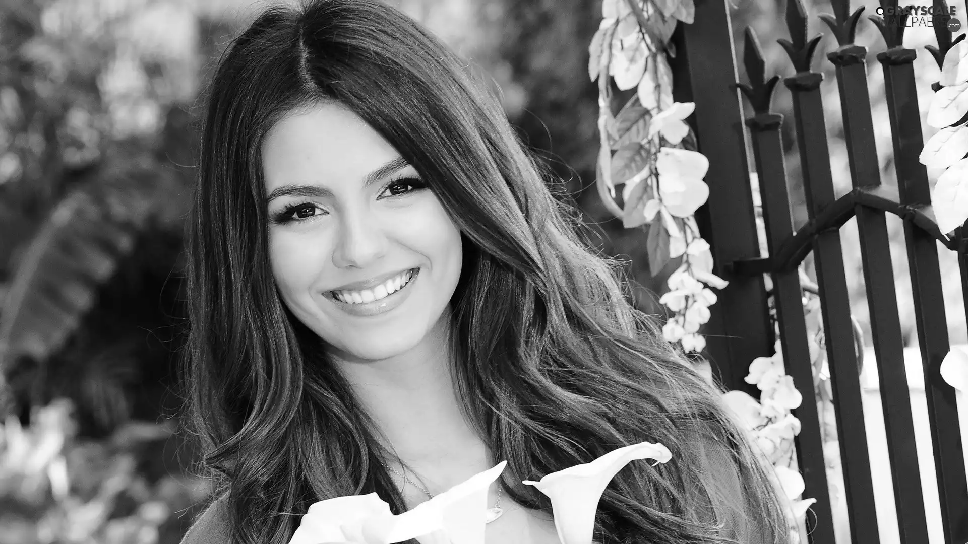brunette, Park, Flowers, Smile