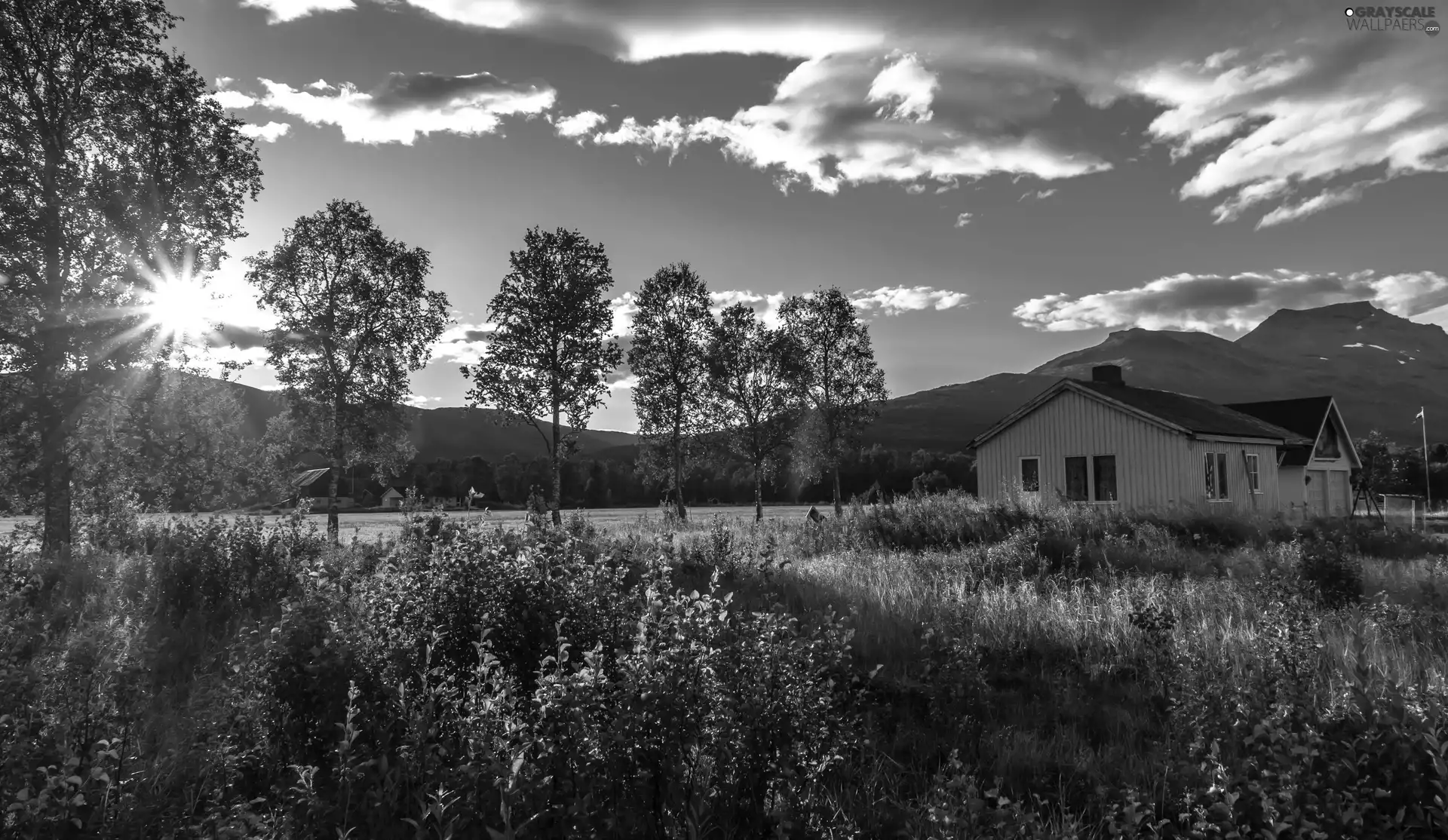 medows, Mountains, Flowers, buildings, grass, woods