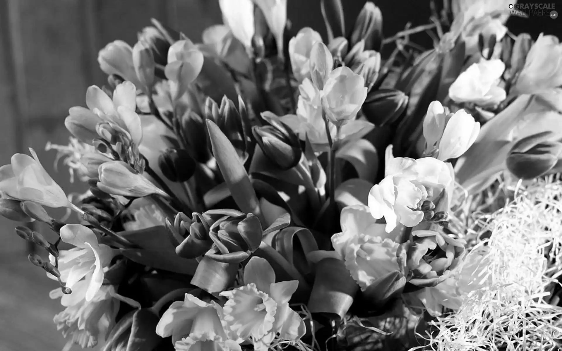 flowers, colorful, bunch