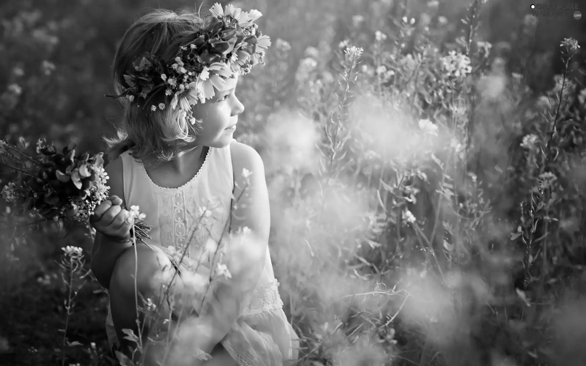 ligh, girl, Meadow, flash, Flowers, small, wreath, luminosity, sun, small bunch