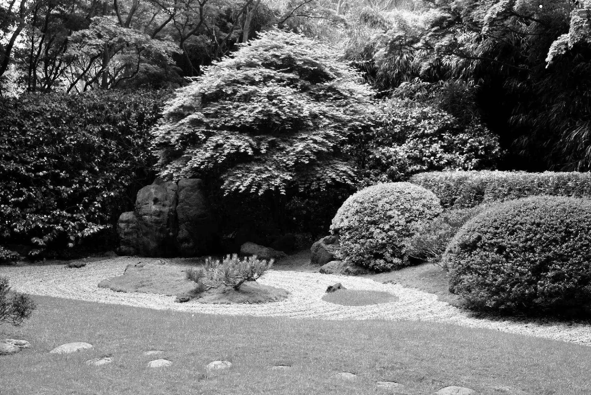 Flowers, Bush, trees, viewes, Garden
