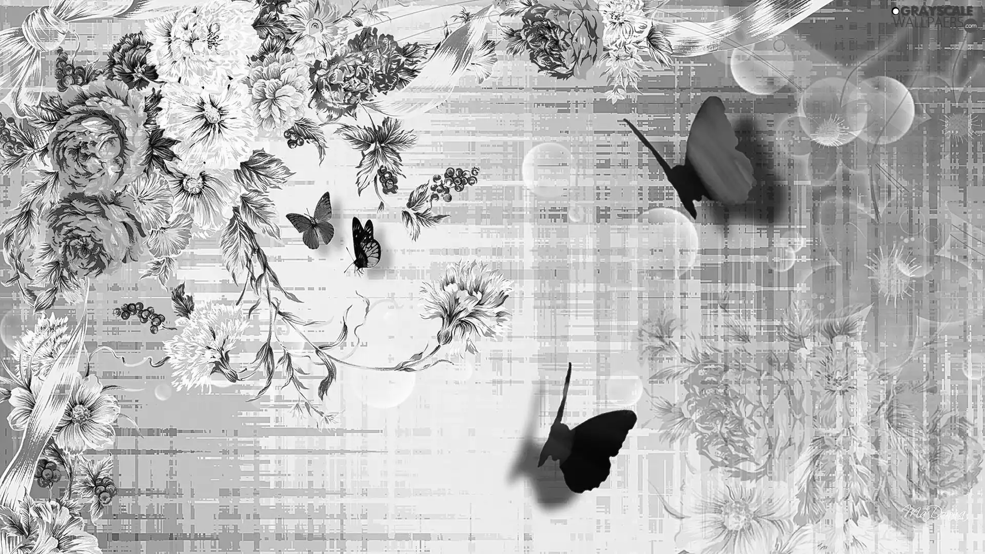 Flowers, graphics, butterflies