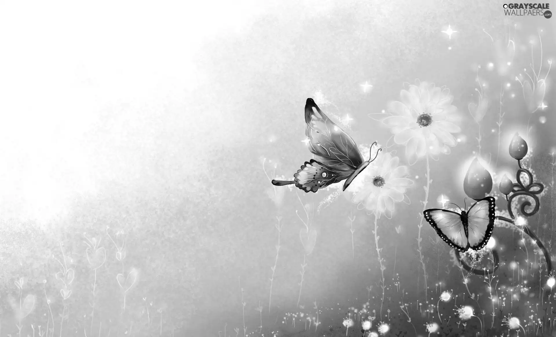 2D Graphics, butterflies, Flowers