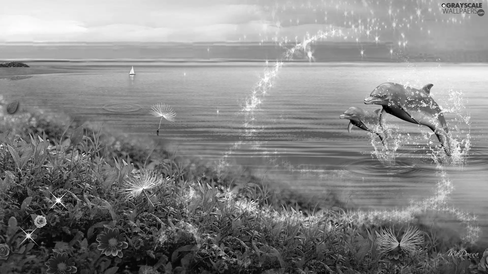 Two cars, sea, Flowers, dolphins
