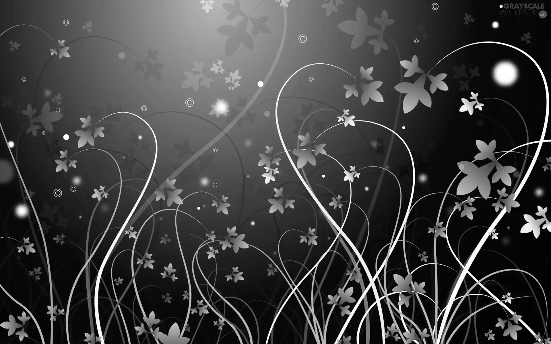 Flowers, texture, change