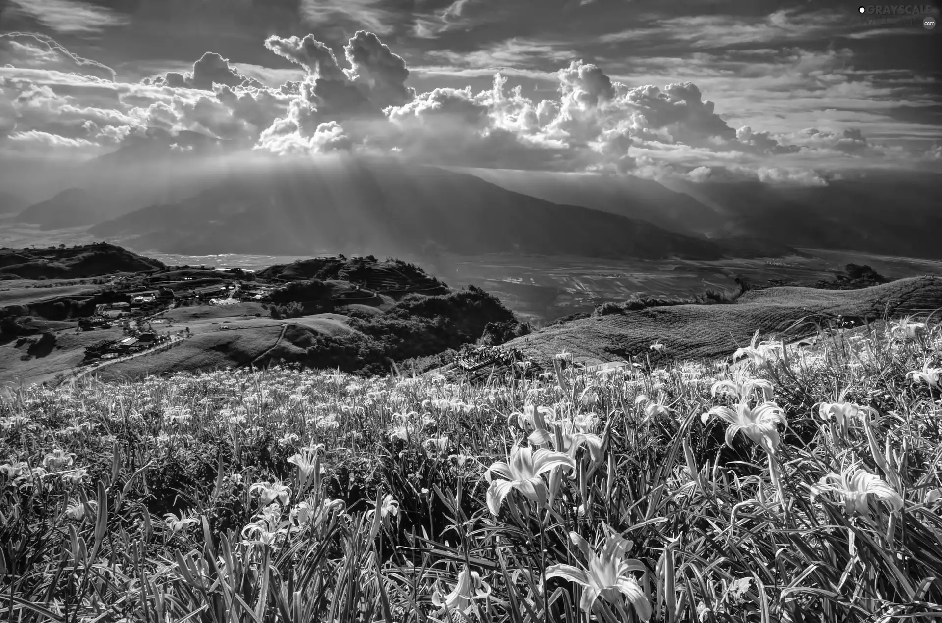 Flowers, Mountains, clouds