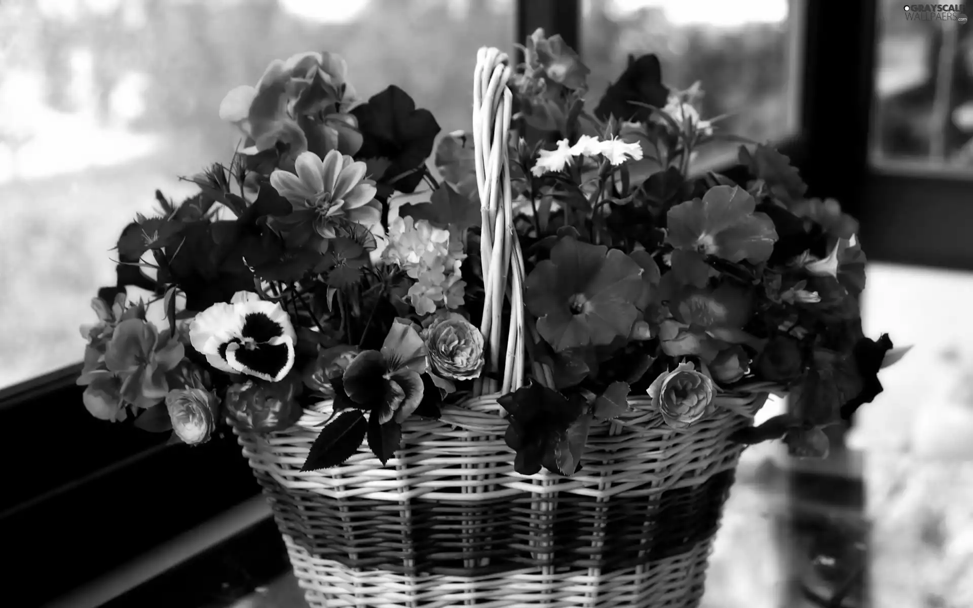 flowers, basket, Colorful