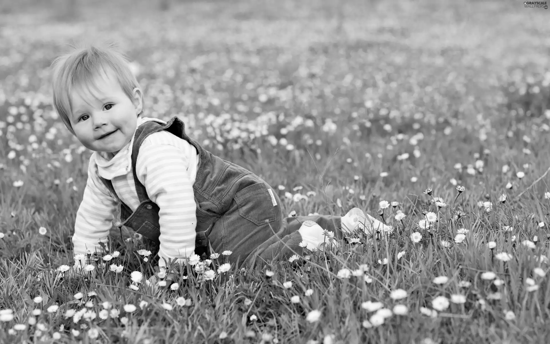 crawling, grass, Flowers, Kid