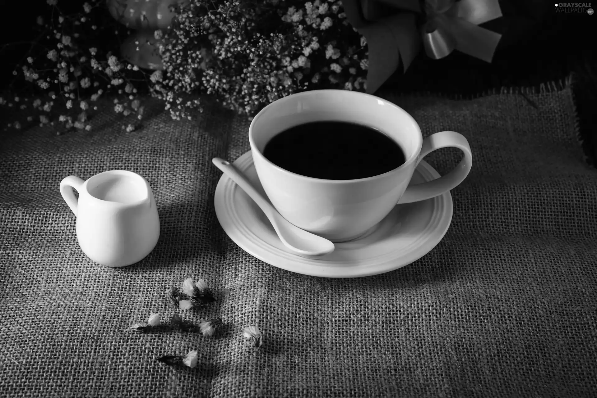 milk, coffee, dry, Flowers, jug, cup