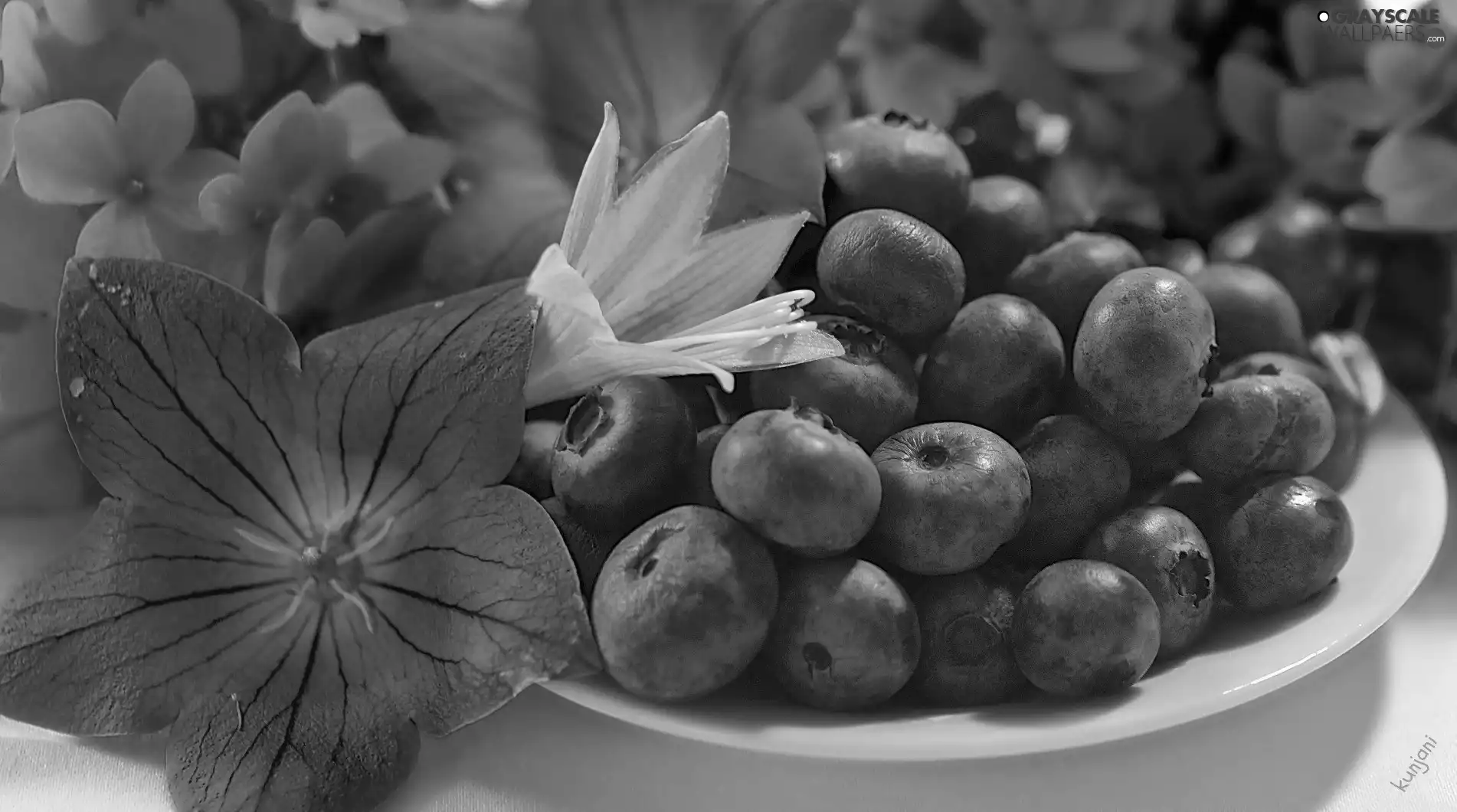 Flowers, blueberries, dish