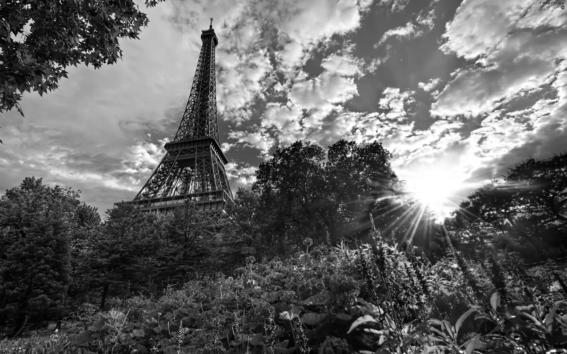 Paris, Eiffla Tower, Flowers